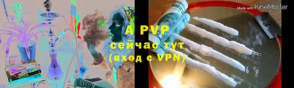 стафф Алексин