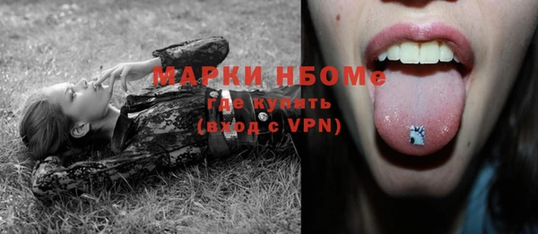стафф Алексин