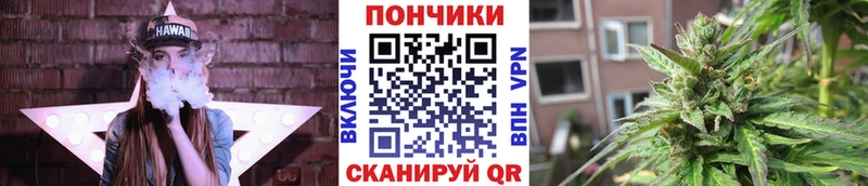 Купить закладки Вытегра Бошки марихуана Amnesia